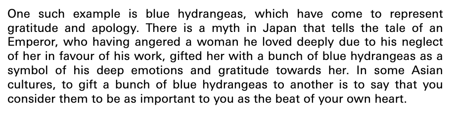 fallacy ♔ tweet media