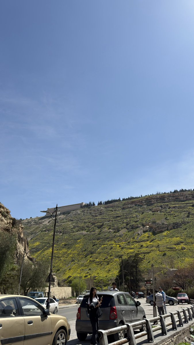 Abd alhade alani tweet media