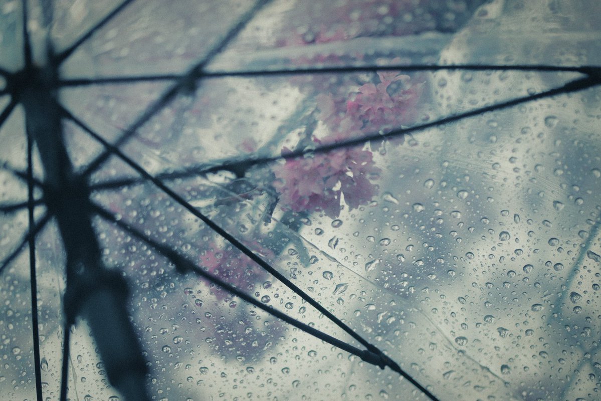 へいじろ tweet media