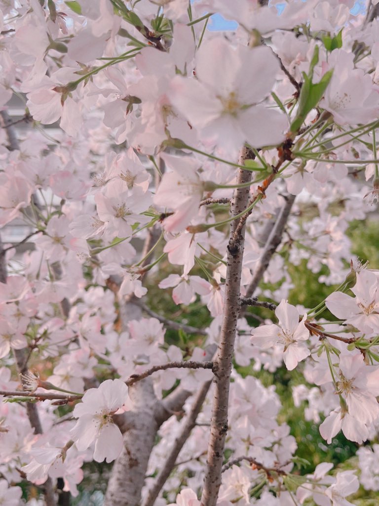 な‎のᕬᕬ tweet media