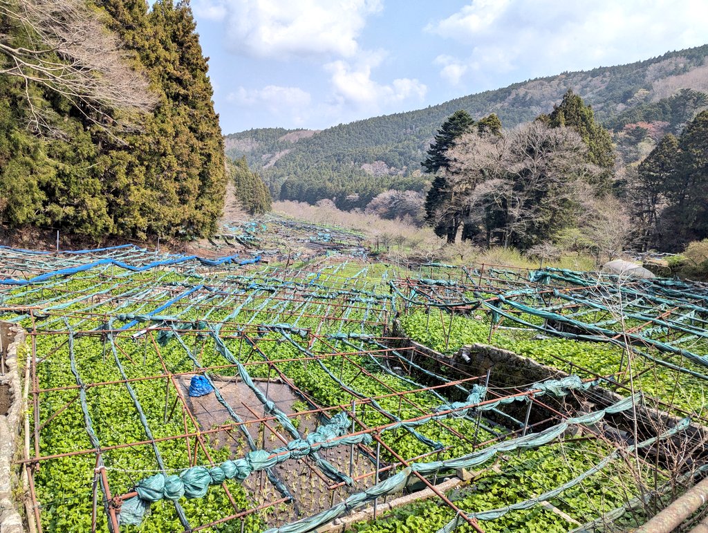 まさトゥー tweet media