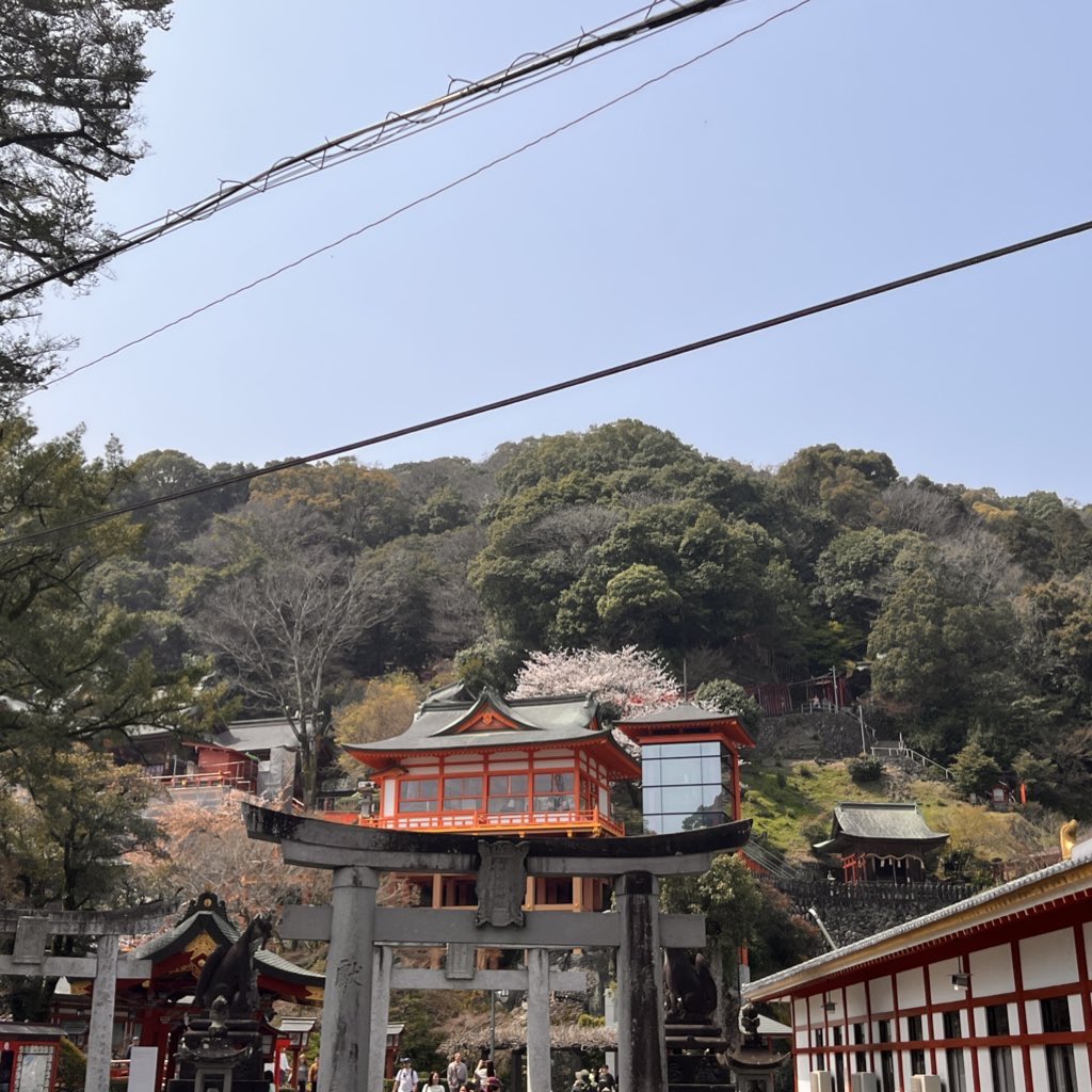 メ酒core tweet media