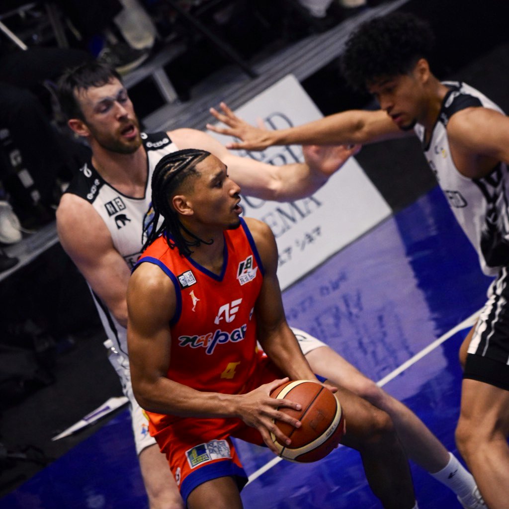 習近平似🍯🧸 tweet media