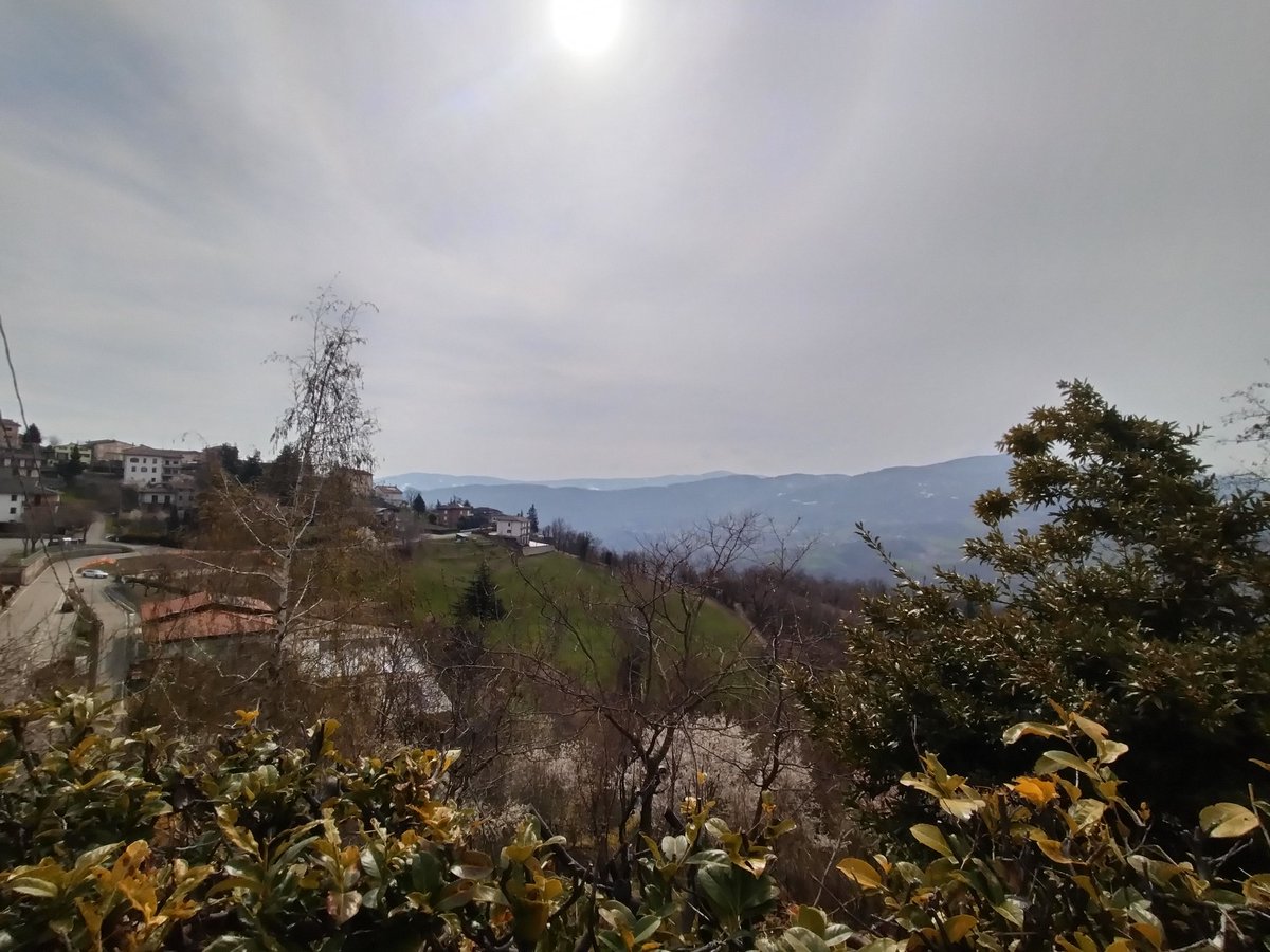 Luca Manfredini tweet media