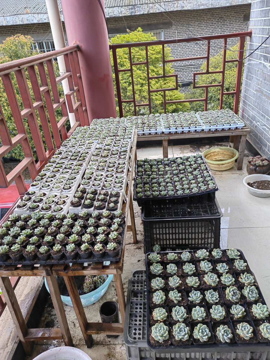 Mathieu Bonnet tweet media