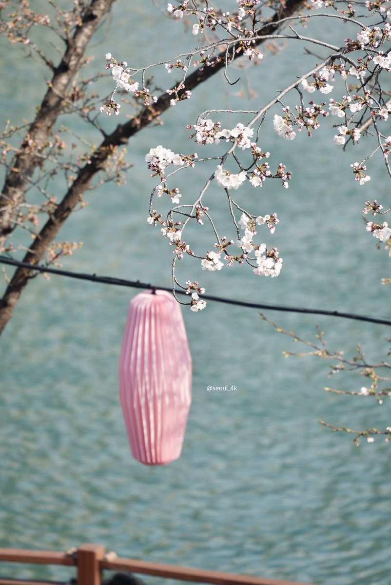 seoul_4k tweet media