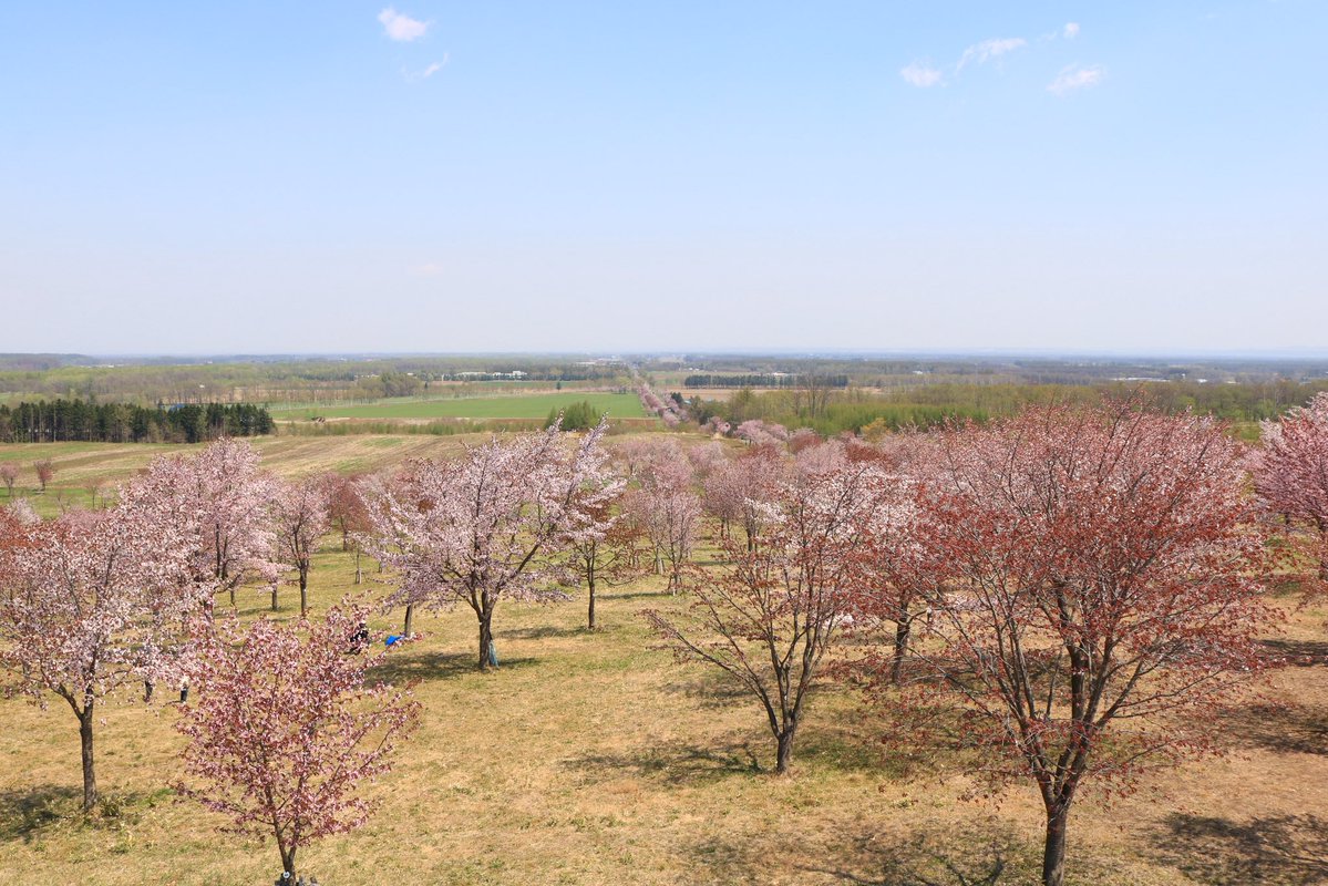Masa｜十勝×観光&教育で暮らしをつくる tweet media