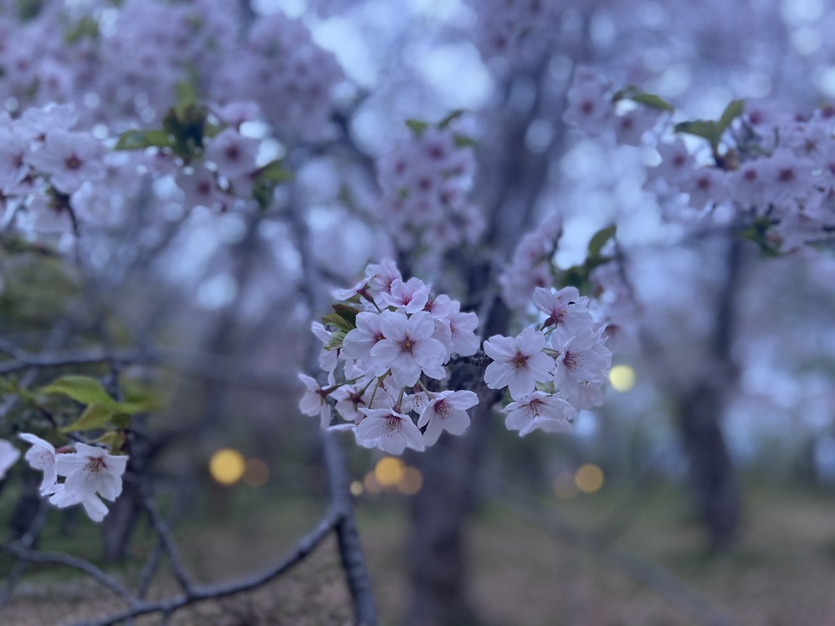 Masa｜十勝×観光&教育で暮らしをつくる tweet media