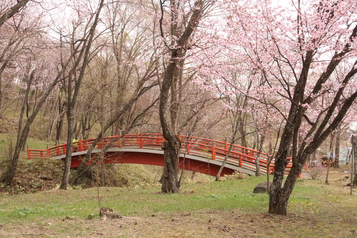 Masa｜十勝×観光&教育で暮らしをつくる tweet media