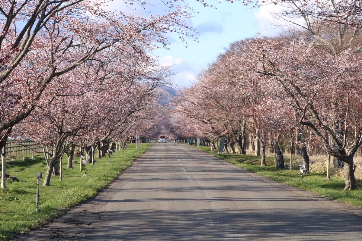 Masa｜十勝×観光&教育で暮らしをつくる tweet media