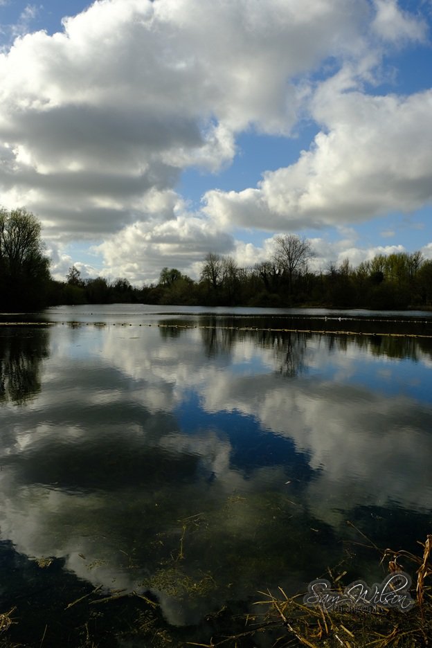 SamWlandscapes's tweet image. Different view of Rooksbury last week #landscapes #vitaminN