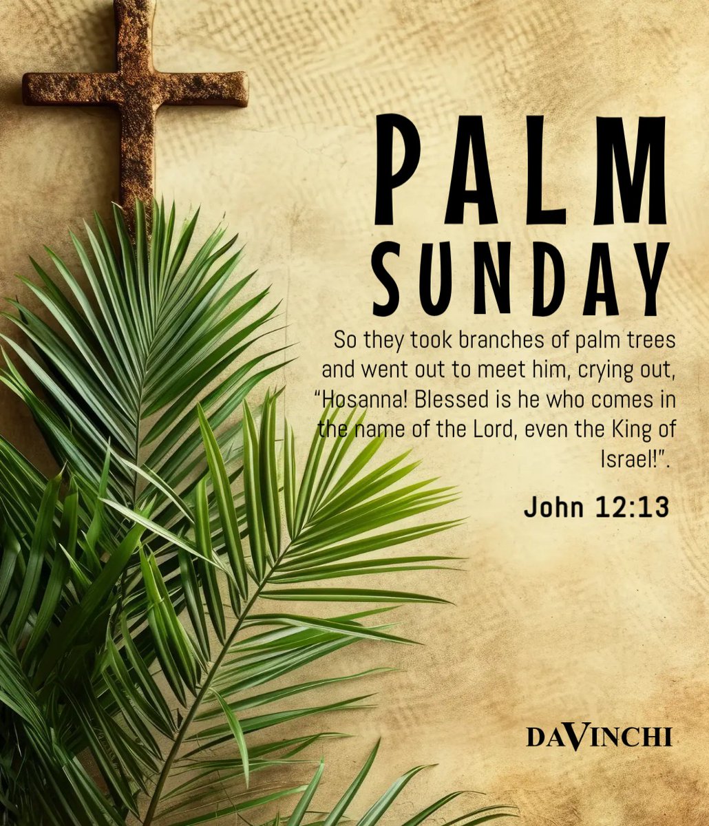 Nwoko David Ugochukwu tweet media