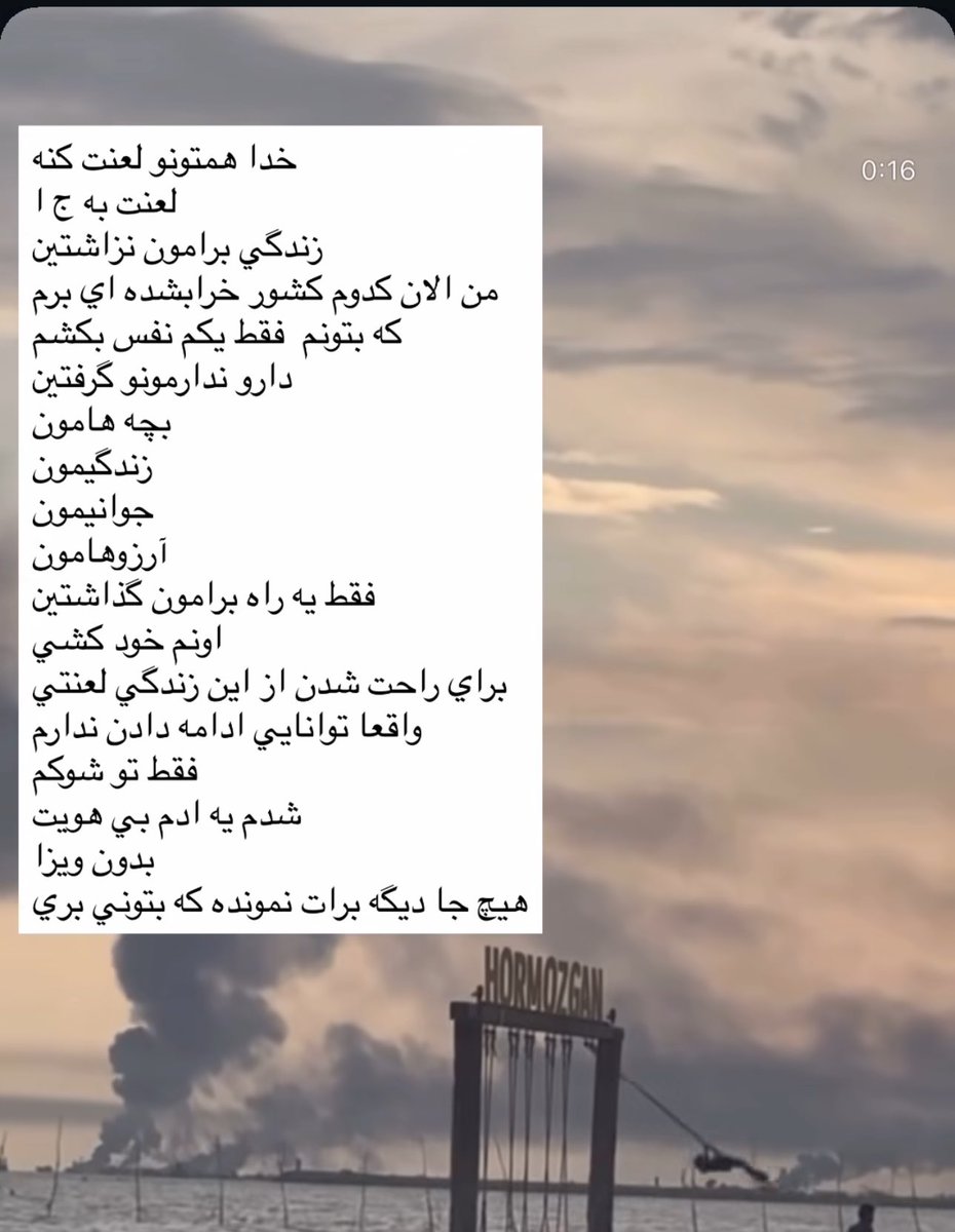 مائده tweet media