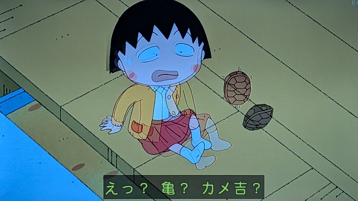 さっきの続きか… 縁側で寝落ち 亀が喋ったぁ！ #ちびまる子ちゃん