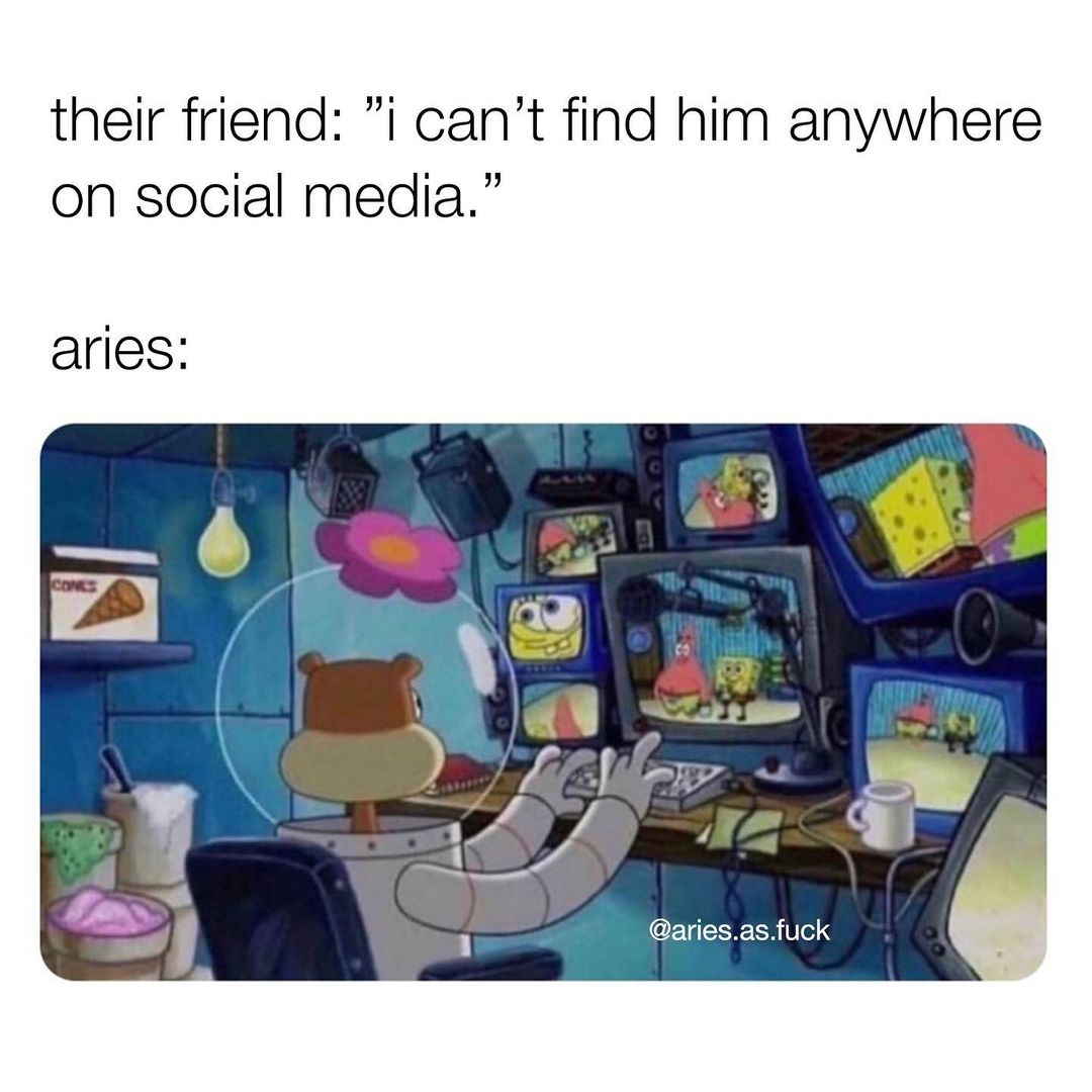 Aries tweet media