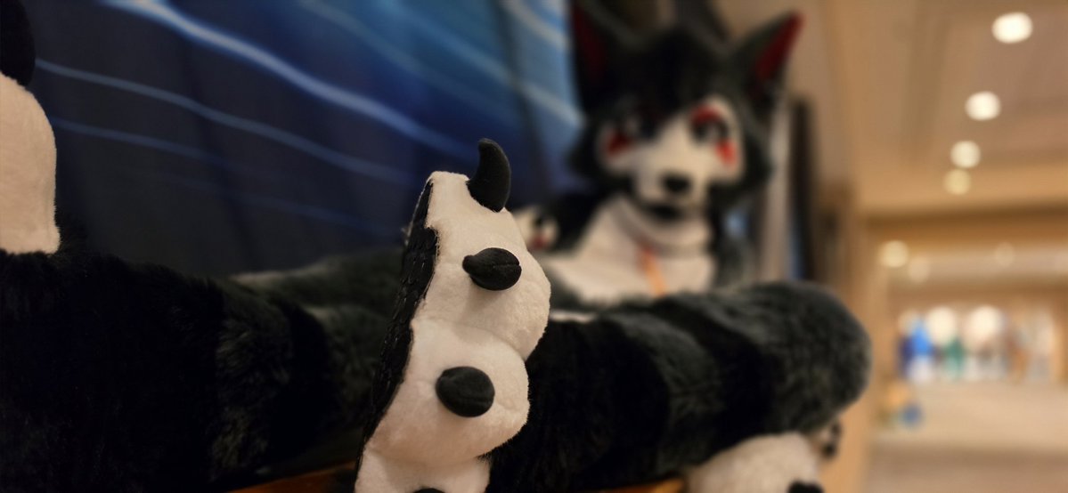 GOOSE➡️ TFF tweet media