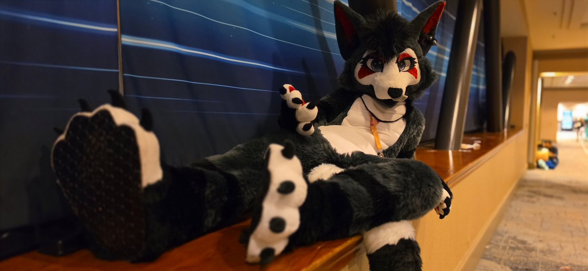 GOOSE➡️ TFF tweet media