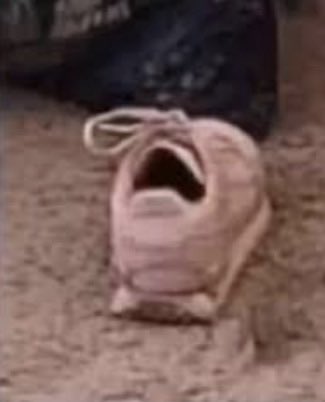 jersy ✚.☘︎ tweet media