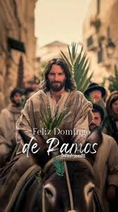 ROSA MARI tweet media