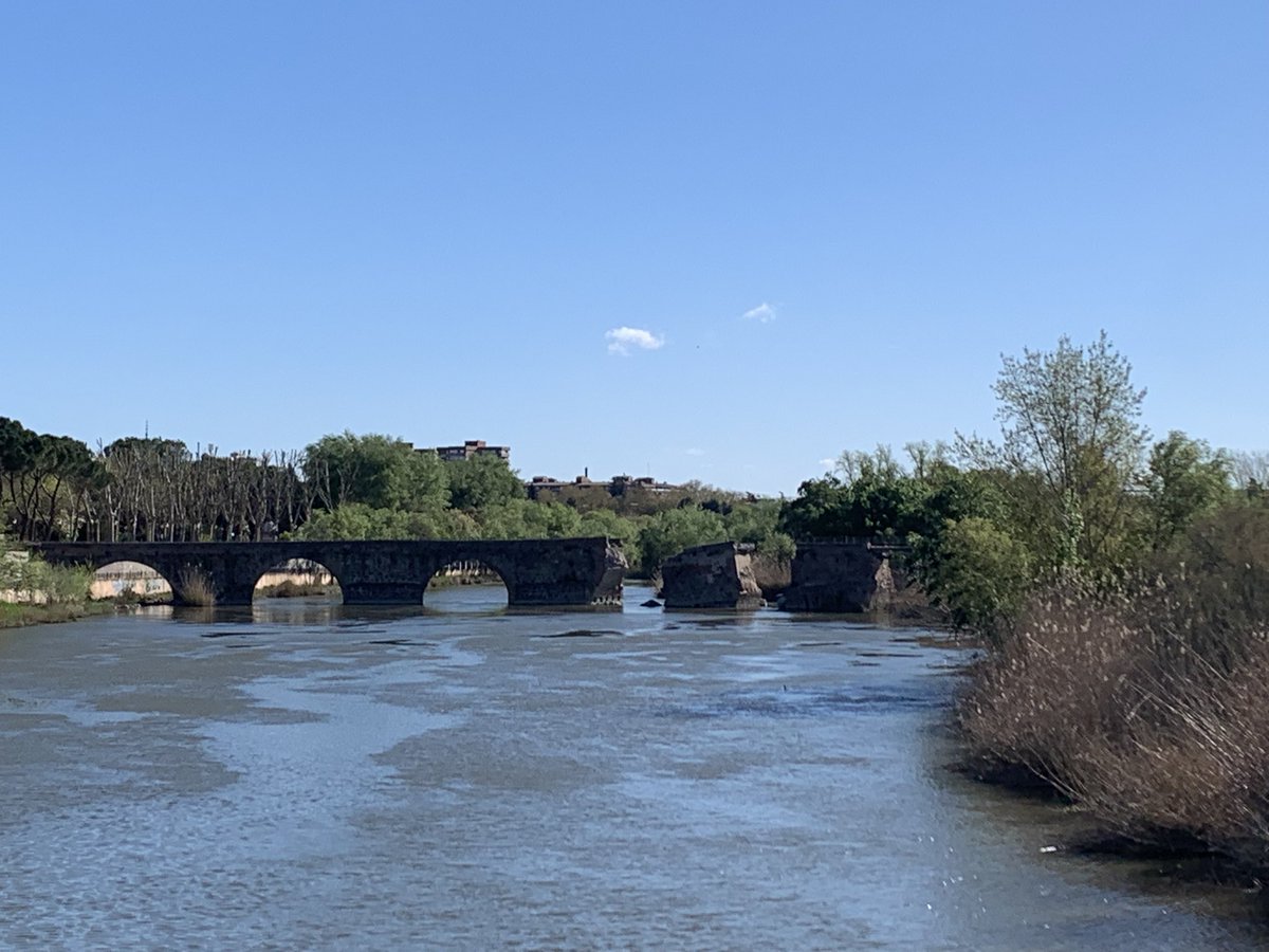 Javier Alonso tweet media