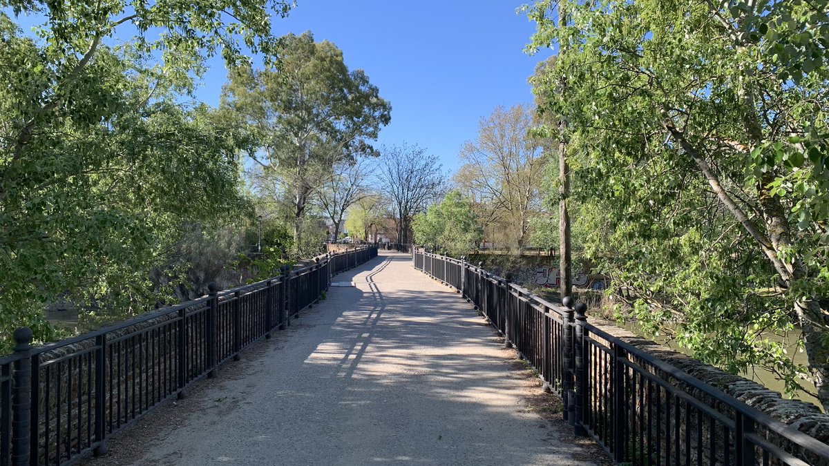 Javier Alonso tweet media