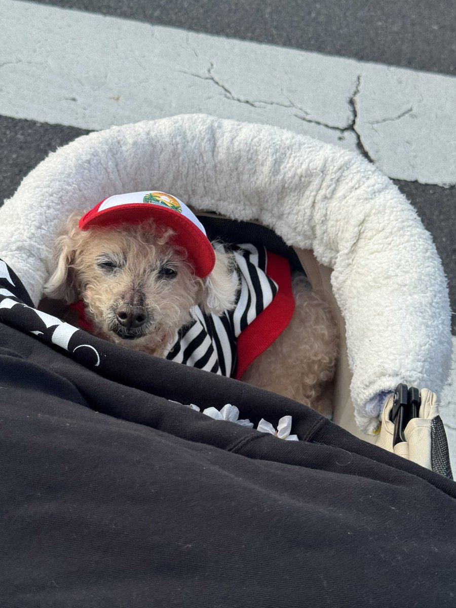 Airu Kelly🌺 tweet media