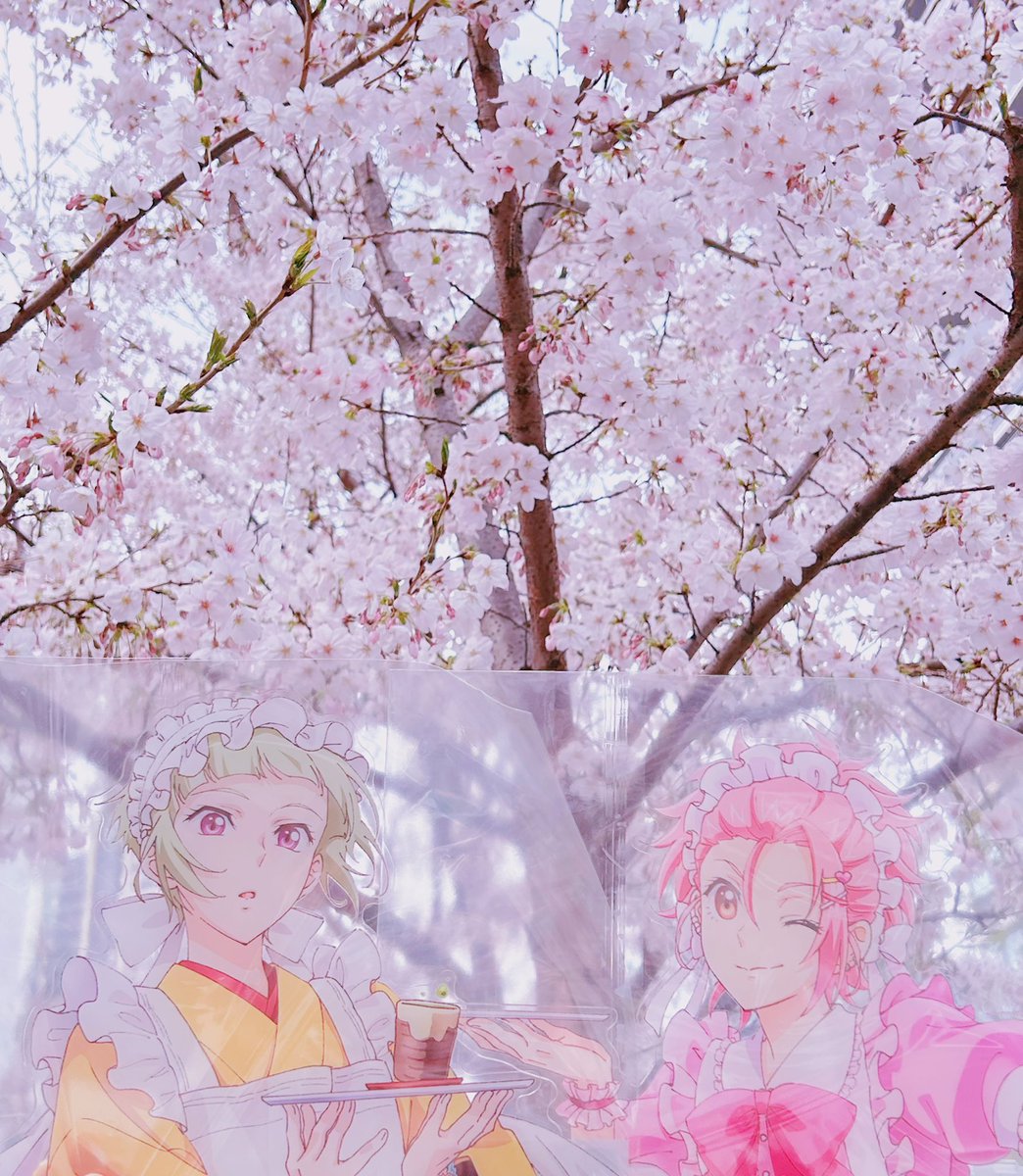 あんころ tweet media