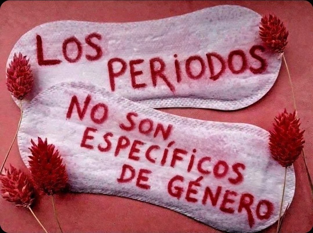 Patrick O'Jota (Beep/Bop/Boop) tweet media