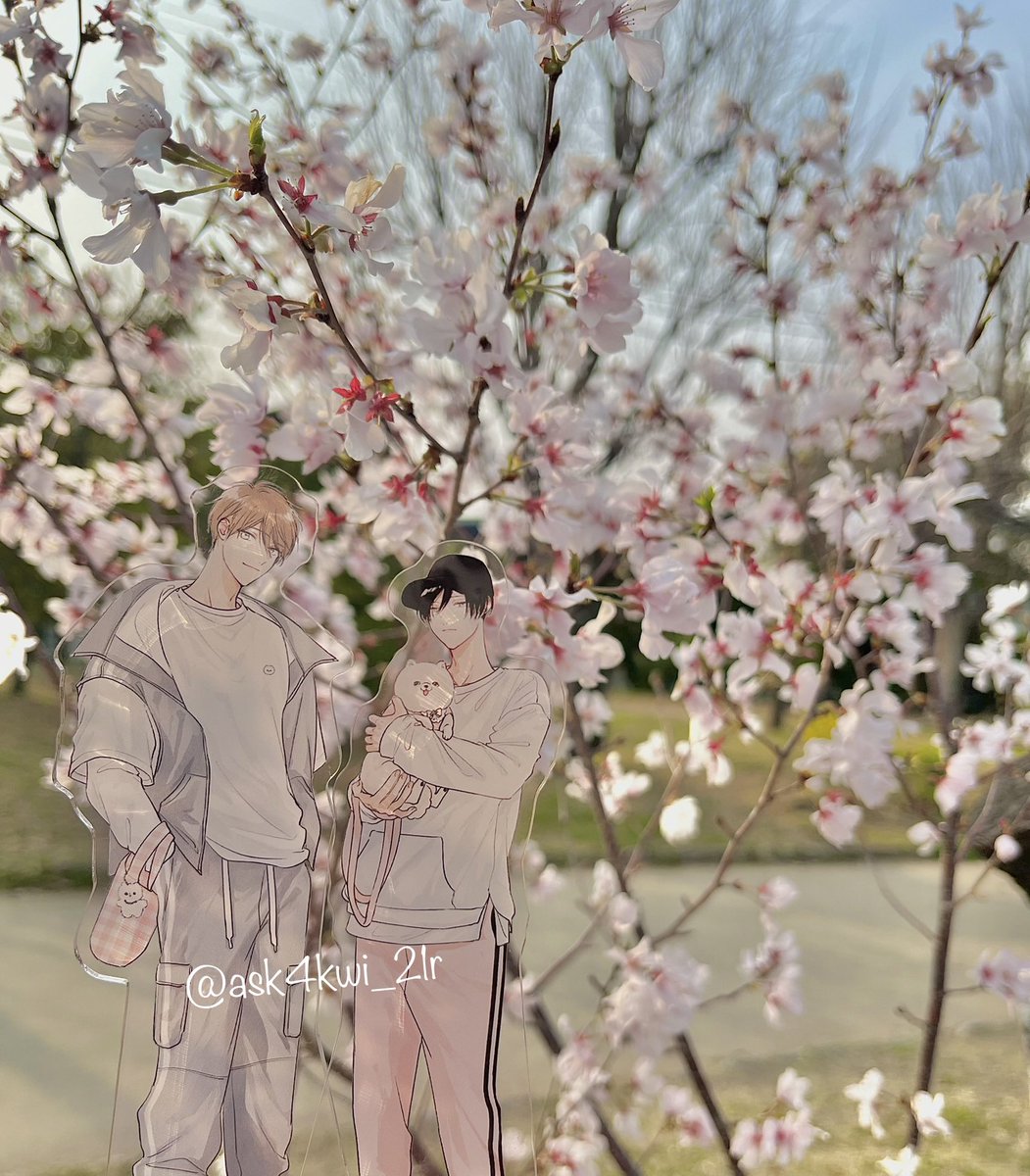 🍥(なると) tweet media