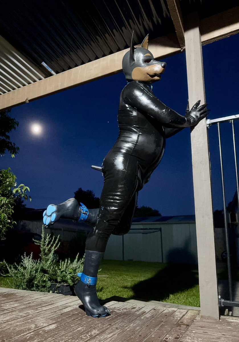 Latexmutt tweet media