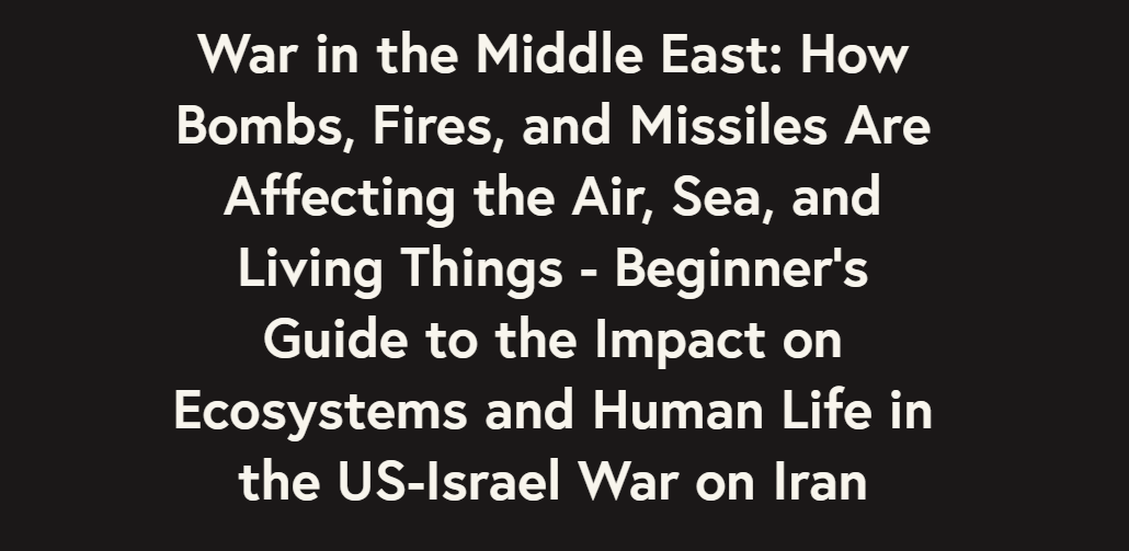 Beatrix Rode tweet media