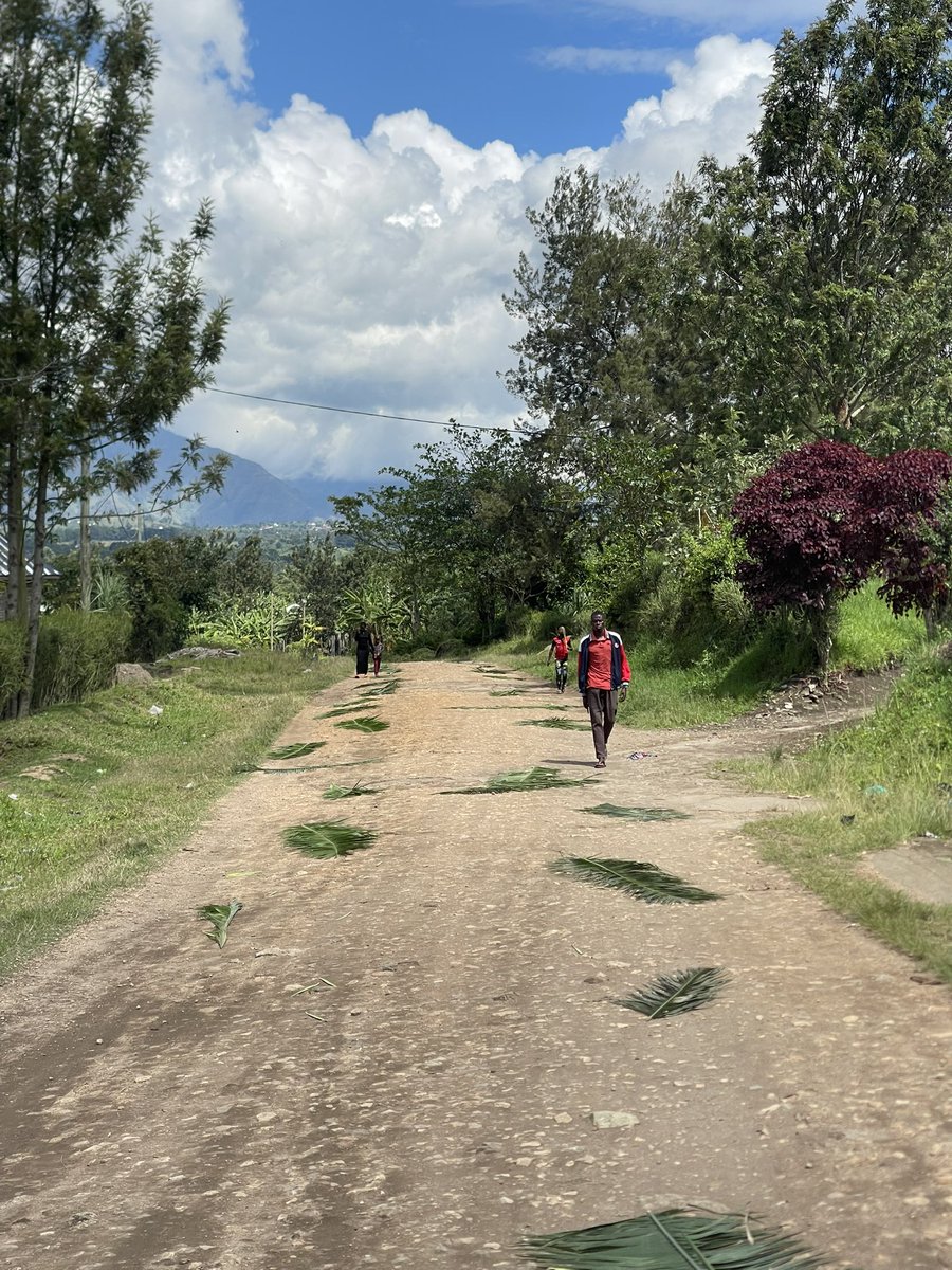 Duke Mike tweet media