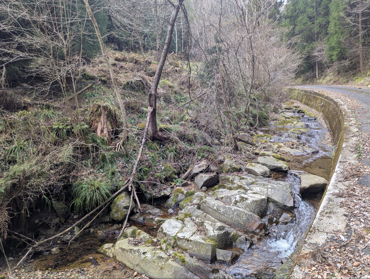 らい⚡れい tweet media