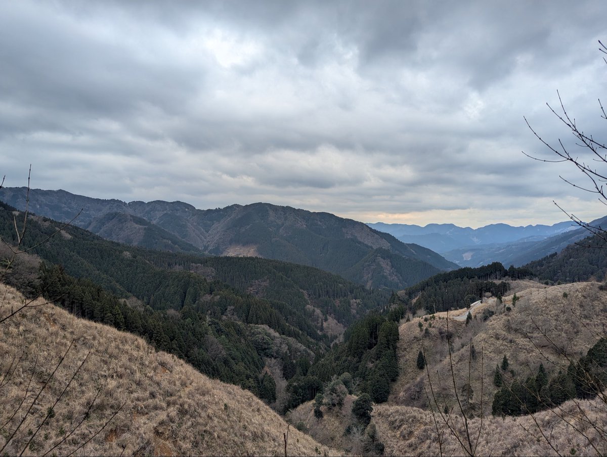 らい⚡れい tweet media