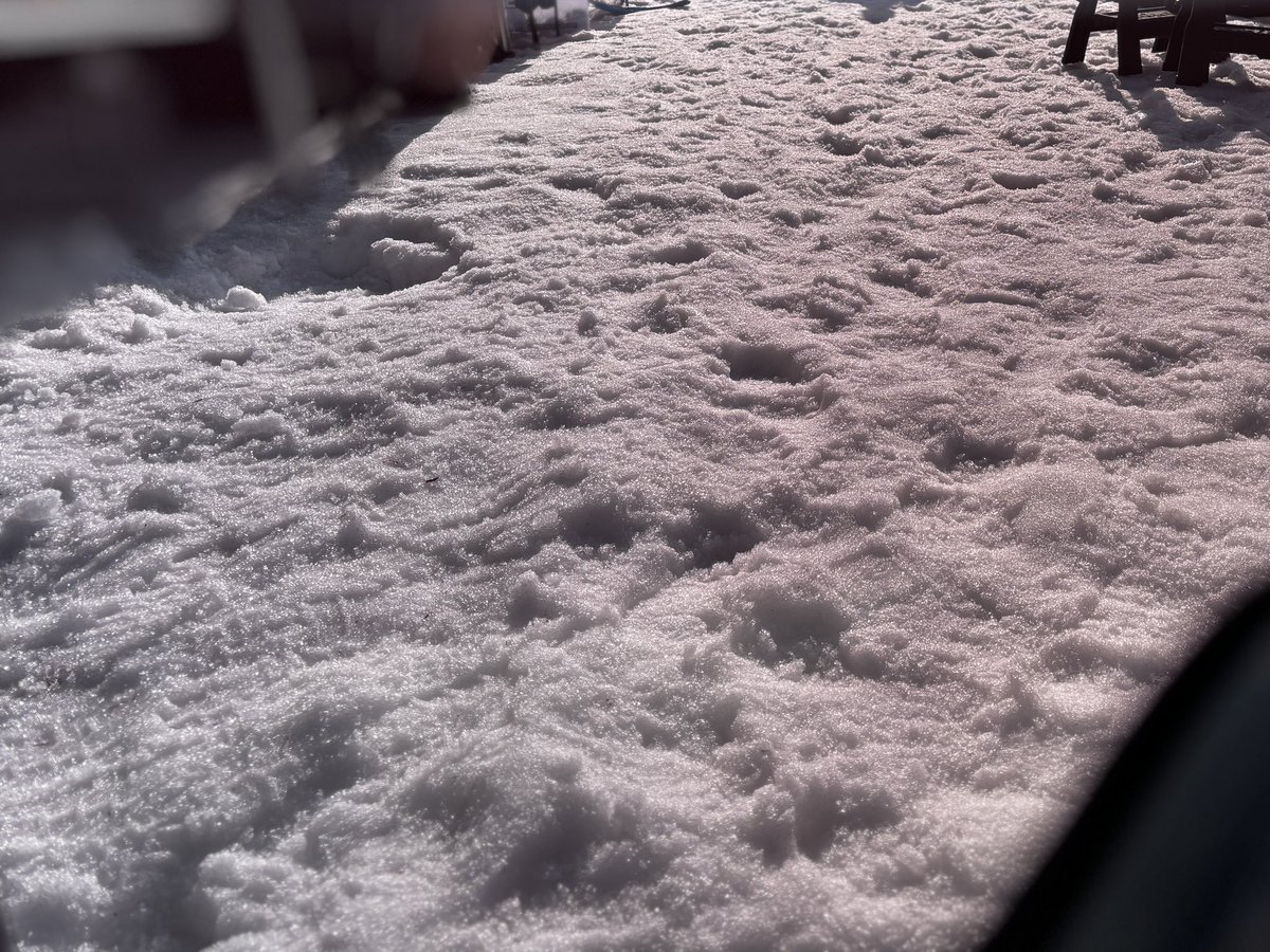 dice snowboarding goggles (公式) tweet media