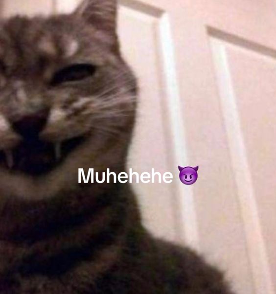 Grumpy Kerb tweet media