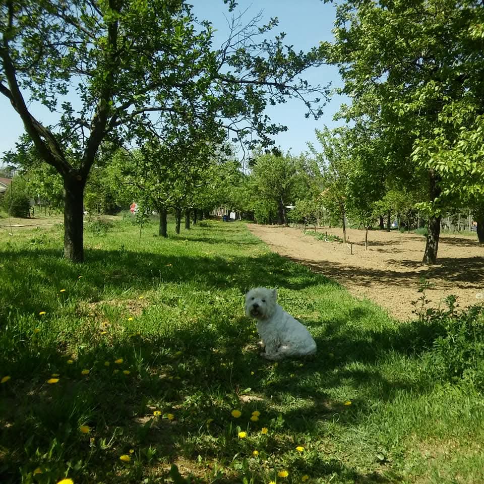 Eva Urbanová tweet media