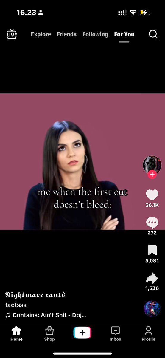 Noah // Azul Ashengrotto of shedtwt tweet media