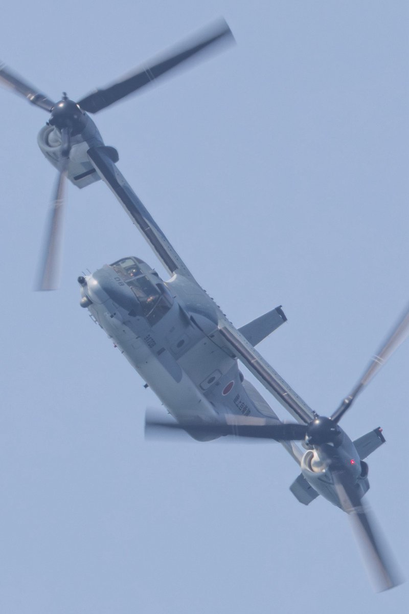 ペーター tweet media