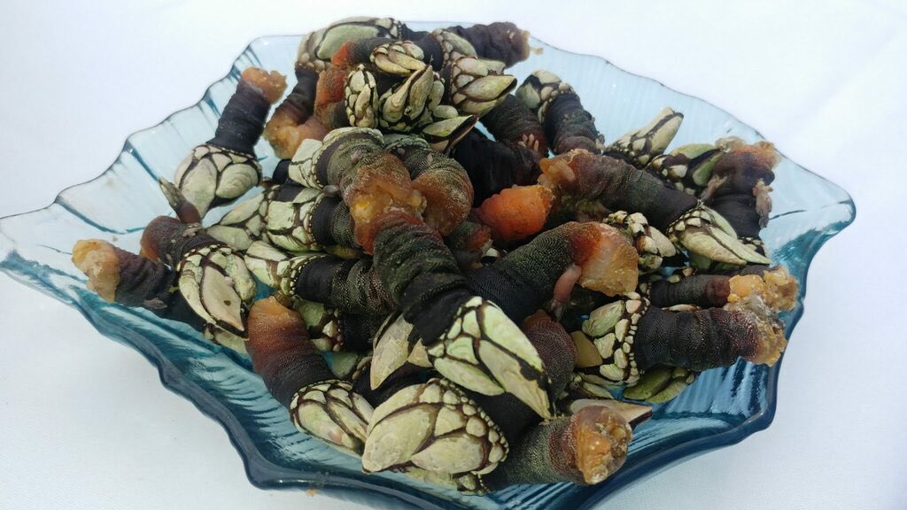 Yendo por la vida tweet media