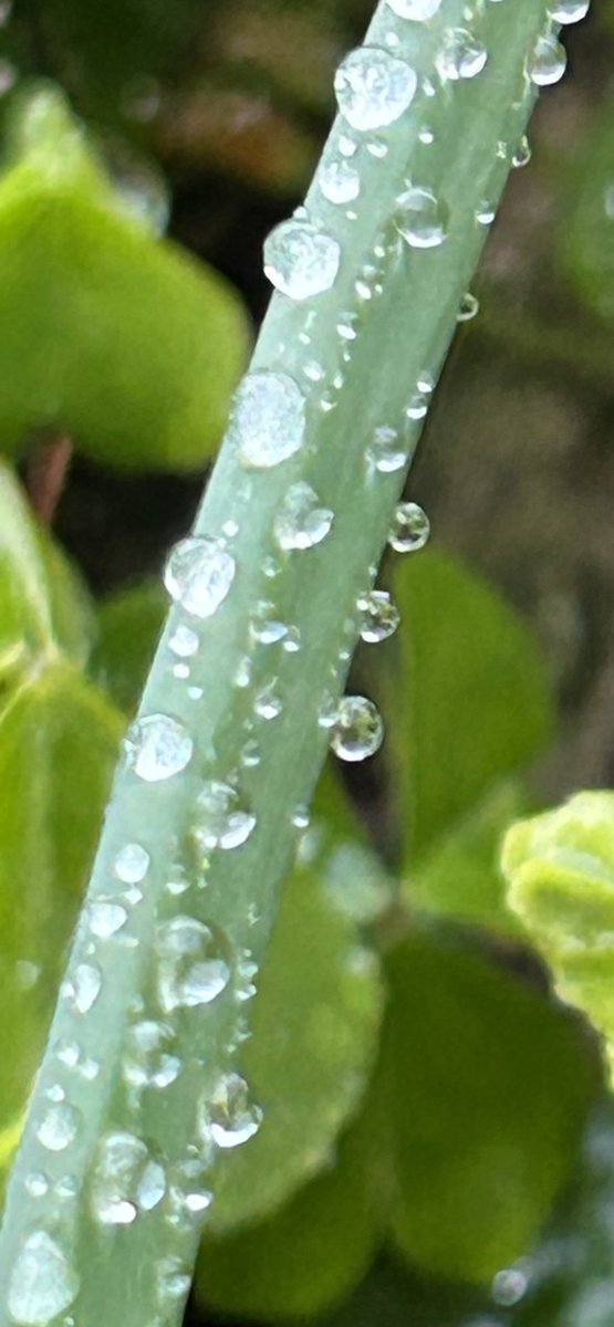 *たえ* tweet media