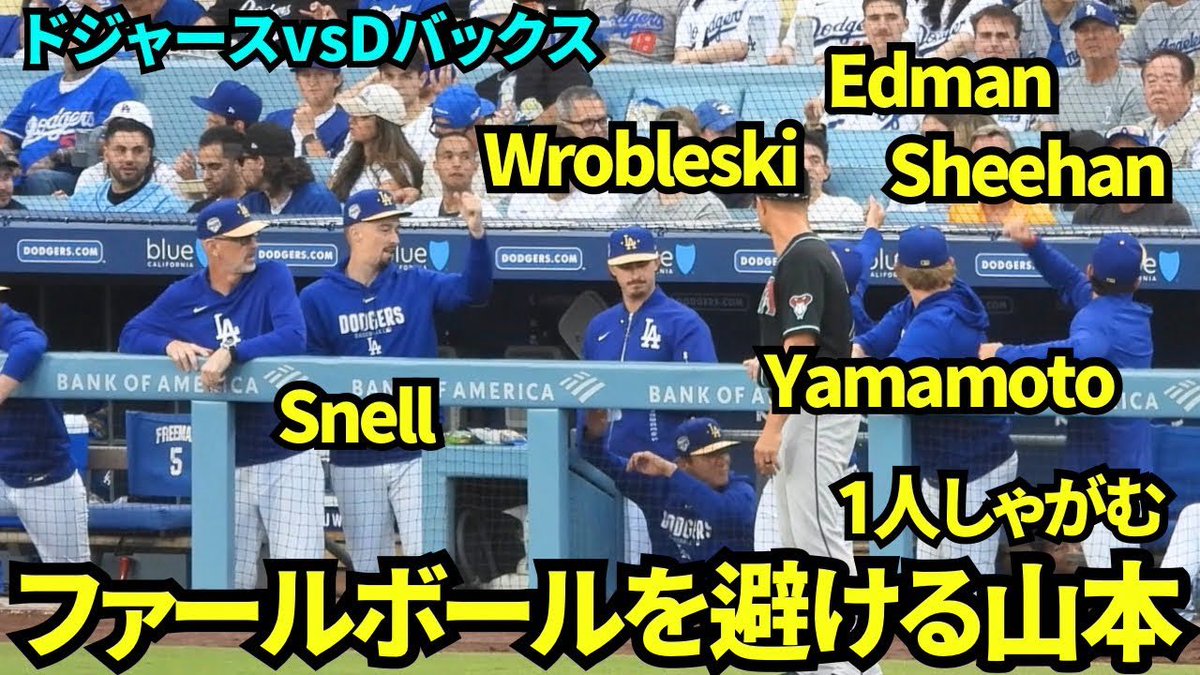 コモゴモTV tweet media