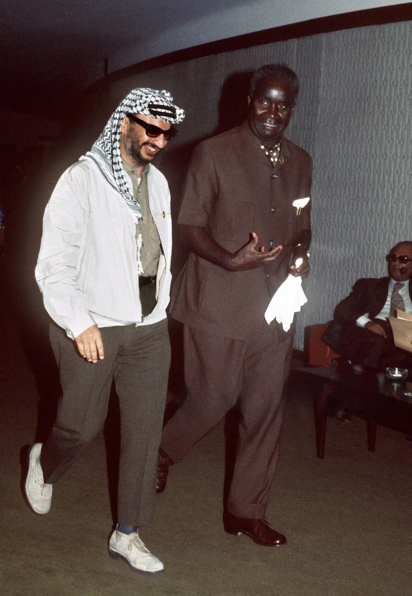 Zoom Afrika tweet media