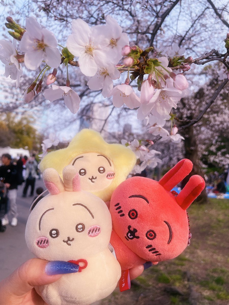 みお。 tweet media