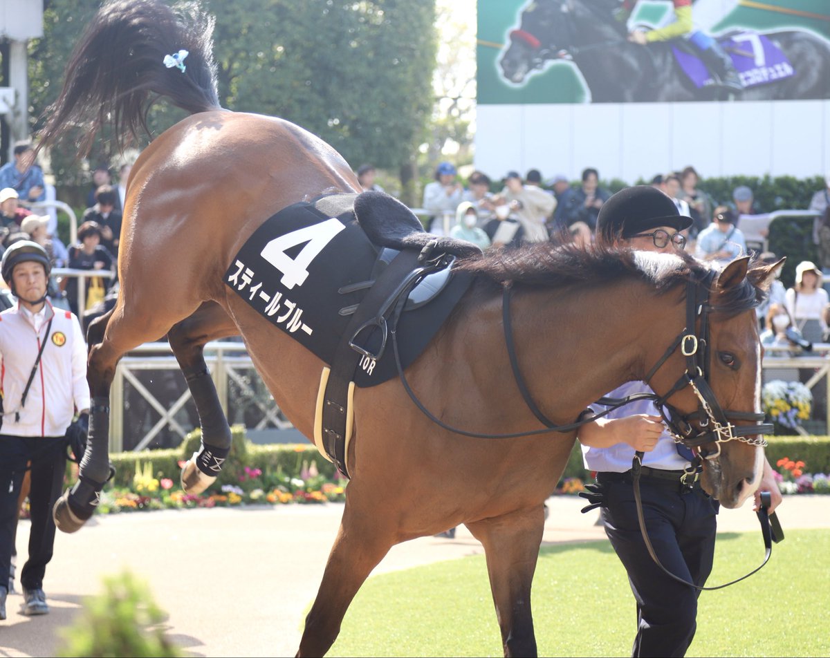 PrimRose tweet media