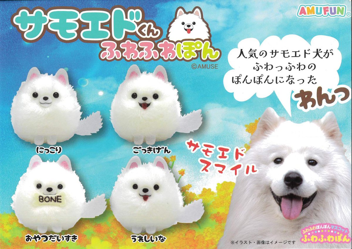 【#プライズ 情報】
「サモエドくんふわふわぽん」が入荷！

真っ白フワフワなサモエド犬がふわふわぽんになったよ！
ちょこんと小さなゴム紐つきマスコットで表情もキュート！

#AMUFUN #サモエドくん #ゲームプラザセントラル浦安店