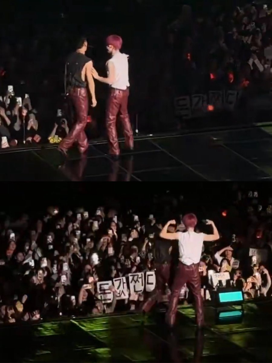 ❇️⁶⁵ tweet media