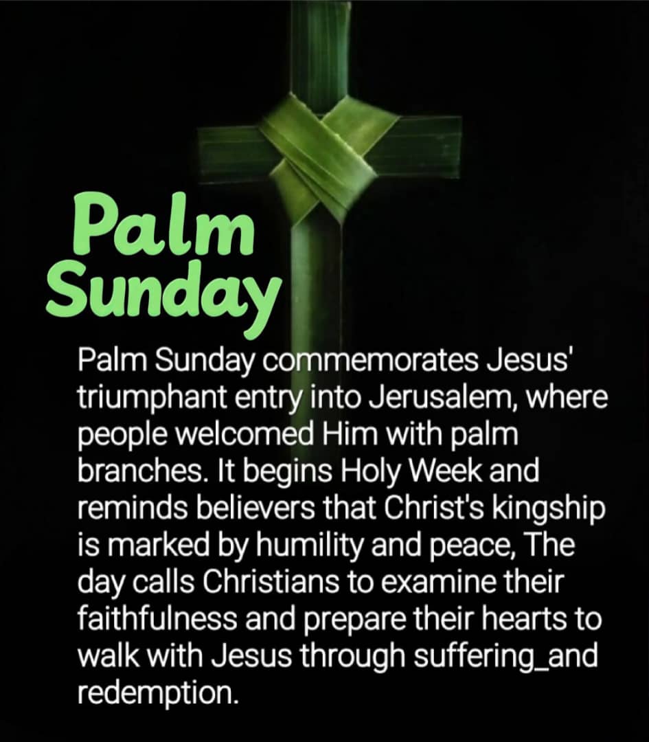 The Real Jeremiah tweet media