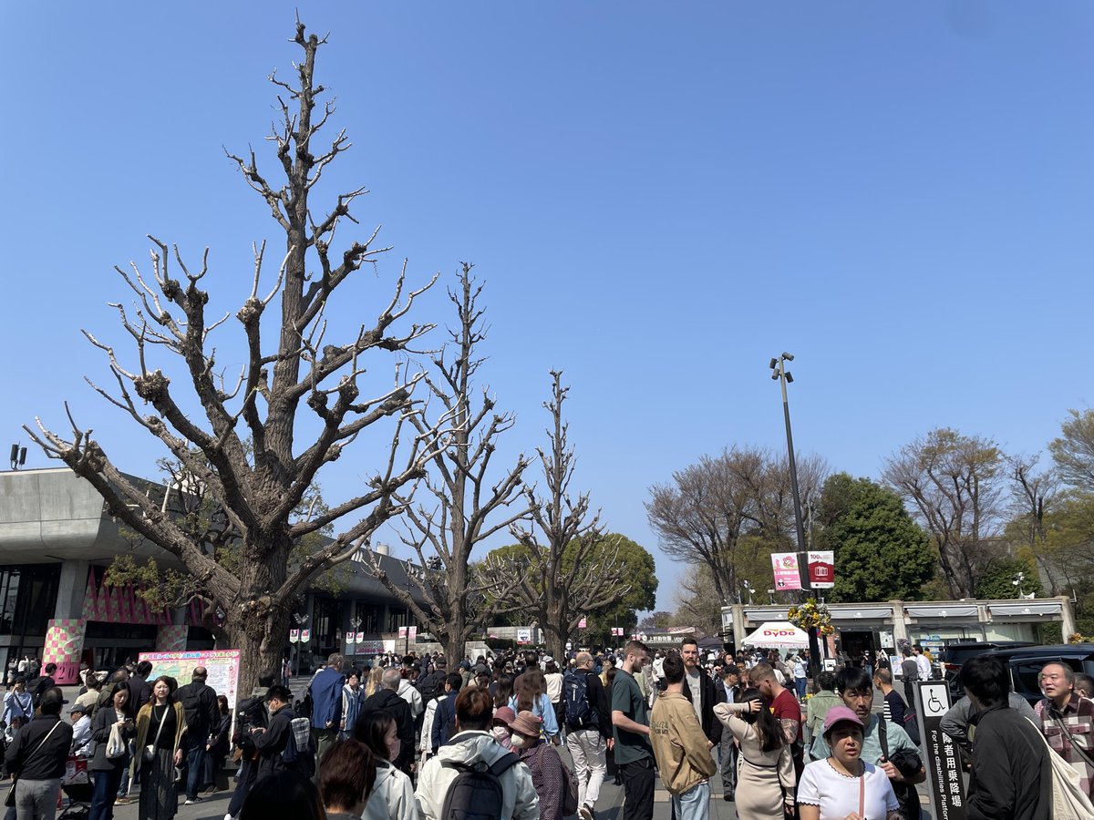 minetomo's tweet photo. 隅田川リバーウォーク 2026年10回目
浅草→晴海方面
異常無しです！

みーんな���見っていうかピクニックしてた！
良い季節になってきたなー https://t.co/IWQg5r5ibY