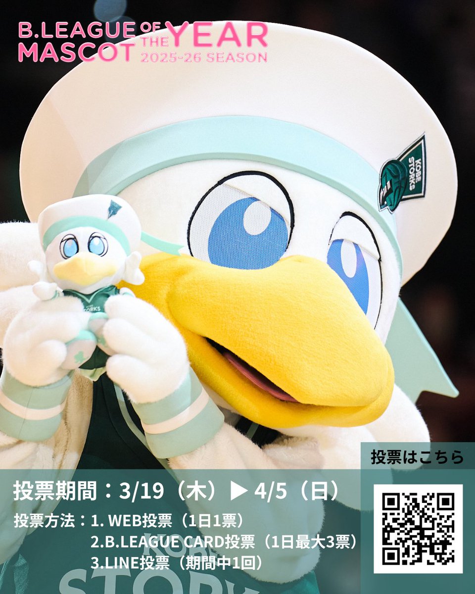 神戸ストークス公式 tweet media